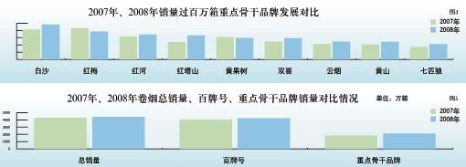 2008年重点骨干品牌市场分析