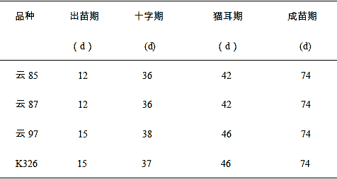 不同烤烟品种漂浮育苗烟苗素质比较