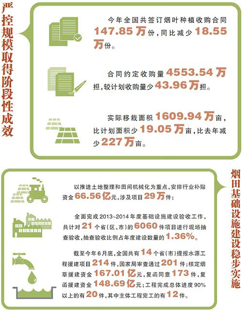 2015年上半年烟叶工作亮点点击