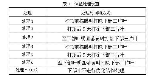 下部叶不同处理方法对烟叶产质量的影响