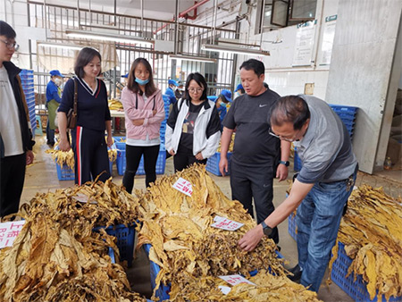 玉溪市局考核验收红塔区烟叶收购专卖内管工作和调研合理化布局规划