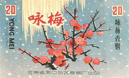 雪中赏梅