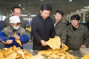 张云飞到南海子调研曲靖卷烟厂技改建设和原料收储工作