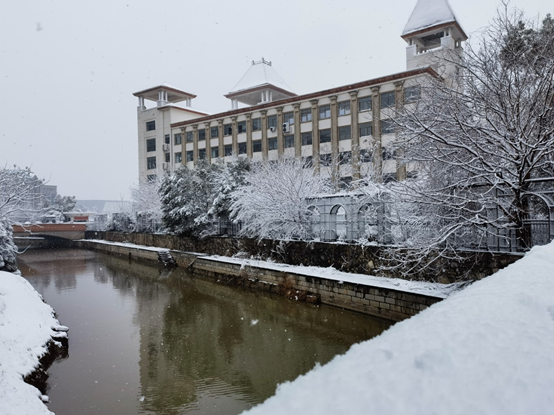 腊月飞雪度洪城  满城浸染“志愿红”