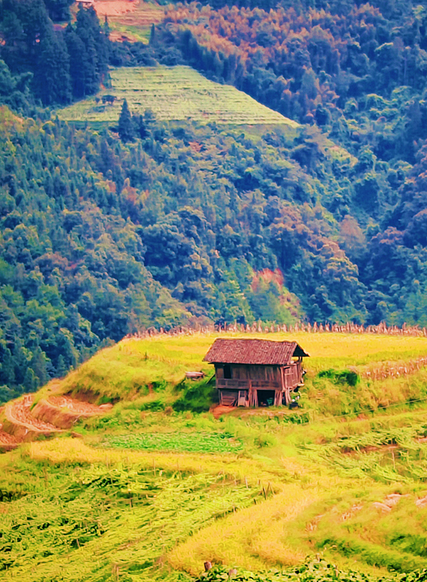 山间小屋