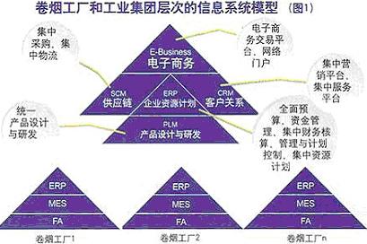 烟草集团公司信息系统的构建设想