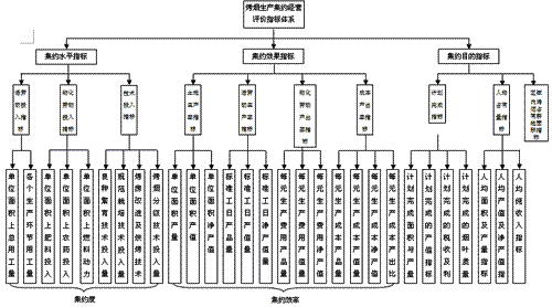 湖南省烤烟生产集约经营发展状况及评价指标体系的探讨