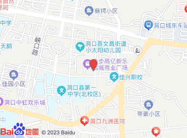 壹烟酒鼎（新华路）