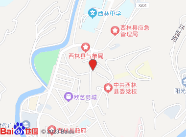 丽霞商店