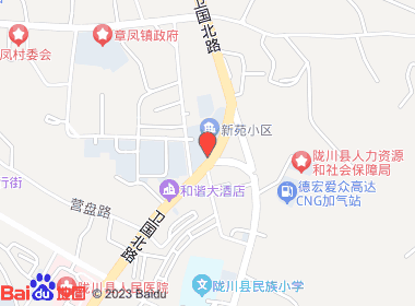 国凤经销店