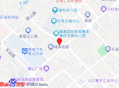 金叶专营店(袁屋边店)