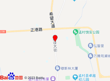 新世纪名烟名酒(孟村店)