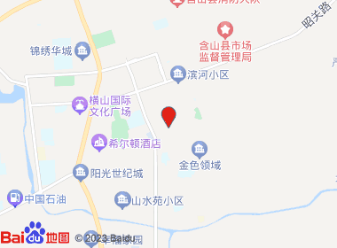 鲁存梅商店