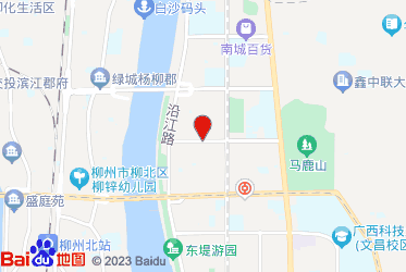 柳州市烟草专卖局（公司）