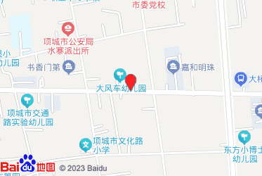 项城市烟草专卖局（分公司）