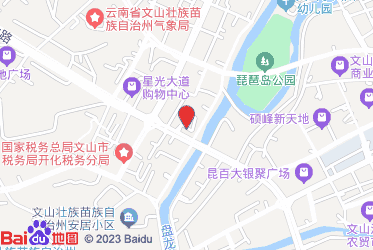 文山市烟草专卖局（分公司）