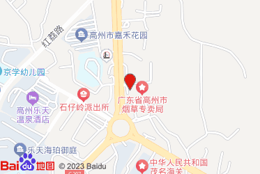 高州市烟草专卖局（分公司）